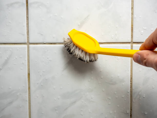 Best Localized Mold Remediation (e.g., coastal areas, humid climates) in Mancelona, MI