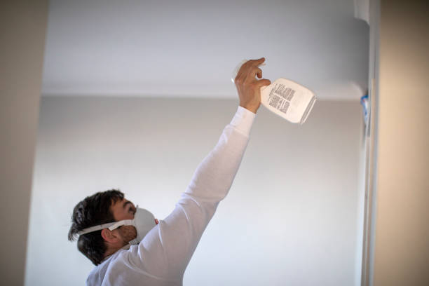 Best Bathroom Mold Remediation in Mancelona, MI